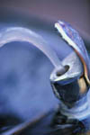 water bubbler